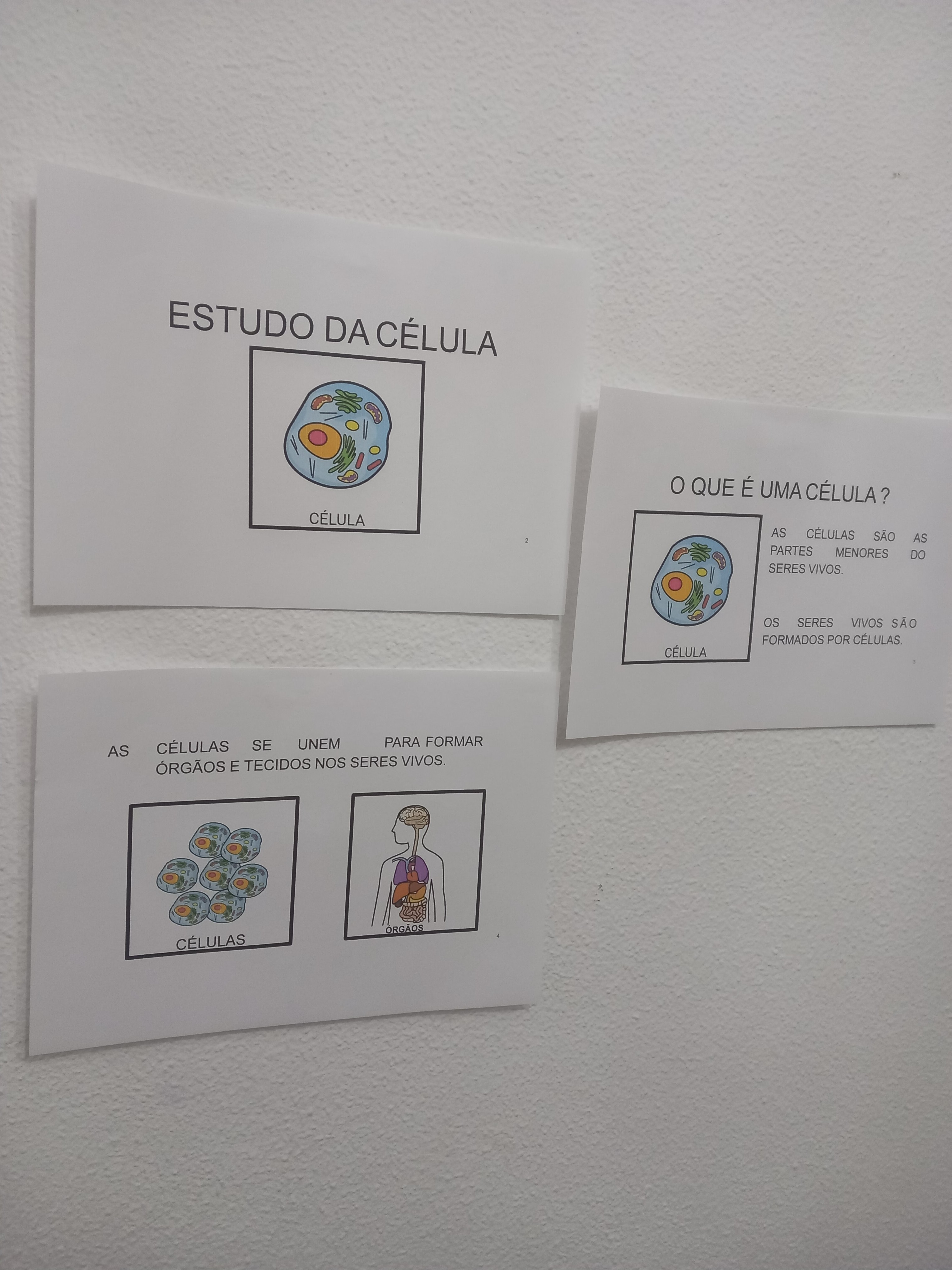 Unidade didática: A célula